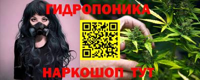 скорость Можга