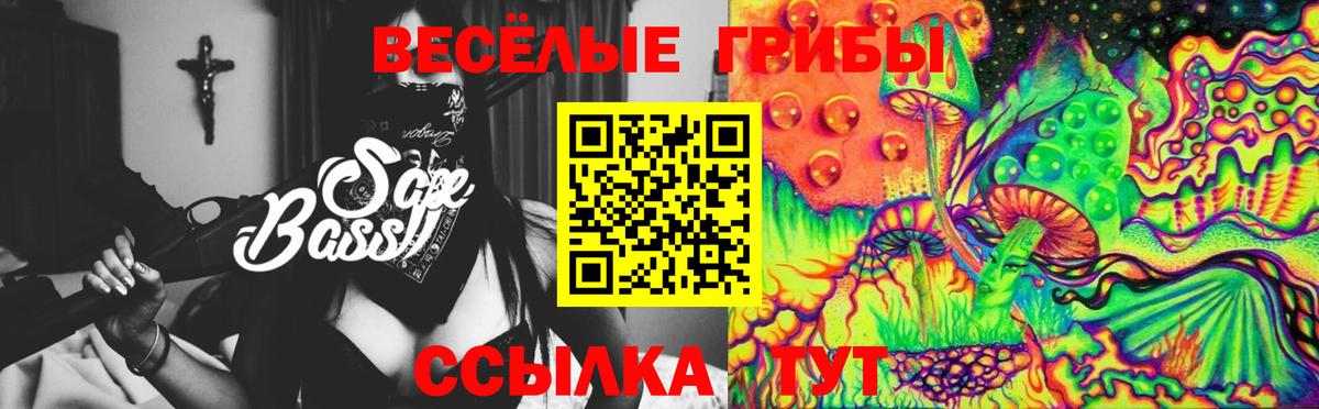 Галлюциногенные грибы MAGIC MUSHROOMS  Вход с VPN  Ангарск  магазин  наркотиков  Псилоцибиновые грибы GOLDEN TEACHER 
