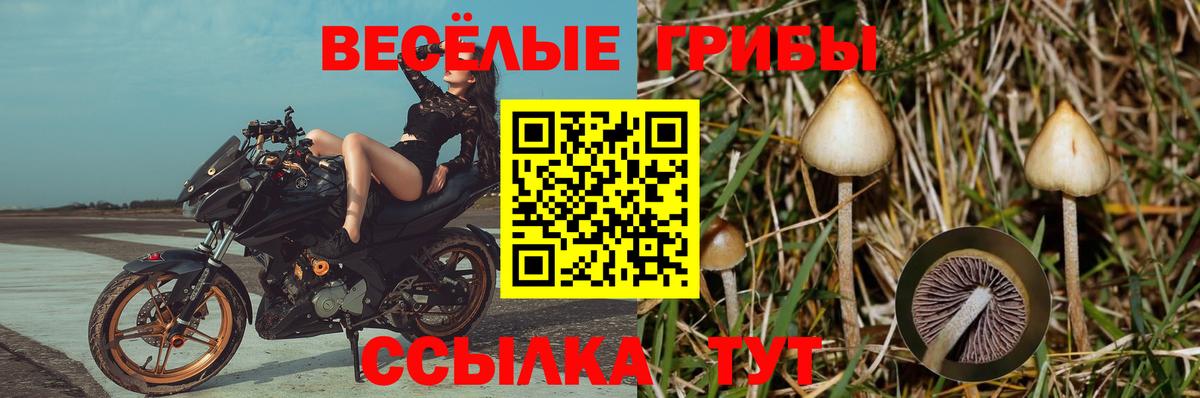 Псилоцибиновые грибы MAGIC MUSHROOMS Ангарск